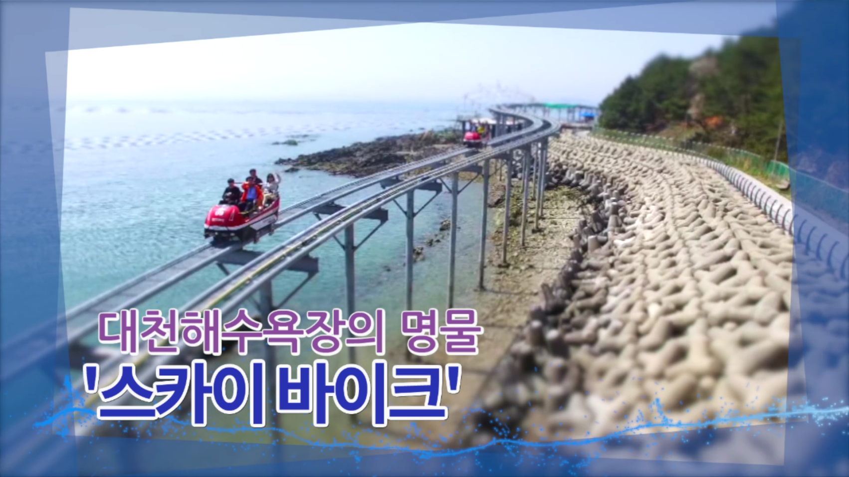 대천해수욕장의 명물 '스카이 바이크'